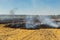 Wildfire on wheat field stubble after harvesting near forest. Burning dry grass meadow due arid climate change hot weather and