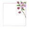 Wildflower apple flower frame in a watercolor style isolated.