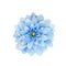 Wildflower blue dahila flower in a watercolor style isolated.