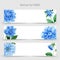 Wildflower Blue dahlia promo sale banner template in a watercolor style isolated.