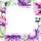 Wildflower chrysanthemum flower frame in a watercolor style.