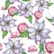 Wildflower clematis flower pattern in a watercolor style isolated.