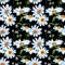 Wildflower daisy flower pattern in a watercolor style.