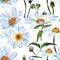 Wildflower daisy flower pattern in a watercolor style.