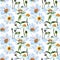 Wildflower daisy flower pattern in a watercolor style.