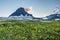 wildflower field at Logan Pass, Glacier National P