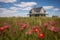 wildflower field, prairie house with central chimney in distance