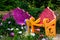 Wildflower garden and benches outdoor relaxing space