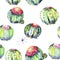 Wildflower green cactus. Floral botanical flower. Seamless background pattern.