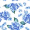 Wildflower hydrangea flower pattern in a watercolor style.