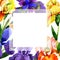 Wildflower iris flower frame in a watercolor style .