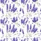 Wildflower lavender flower pattern in a watercolor style isolated.