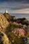 Wildflower Lighthouse, Ynys Llanddwyn, Anglesey