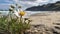 Wildflower meadow blooms in summer sunlight waves generated by AI