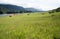 Wildflower meadow with pink marsh orchids, lake geroldsee, upper bavaria