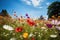 Wildflower Meadows. Nature's Tapestry