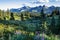 Wildflower Meadows and Tatoosh Range