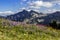 Wildflower Meadows and Tatoosh Range