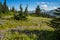 Wildflower Meadows and Tatoosh Range