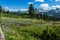 Wildflower Meadows and Tatoosh Range