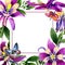 Wildflower orchid flower frame in a watercolor style isolated.