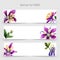 Wildflower orhid promo sale banner template in a watercolor style isolated