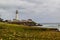 Wildflower and the Pigeon Point Lighthouse Station