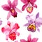 Wildflower pink orchid flower pattern in a watercolor style.