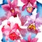 Wildflower pink orchid flower pattern in a watercolor style.