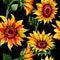 Wildflower sunflower flower pattern in a watercolor style.
