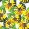 Wildflower sunflower flower pattern in a watercolor style.