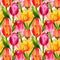 Wildflower tulip flower pattern in a watercolor style .