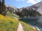 Wildflower walking path around Mountain lake