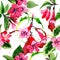 Wildflower weigela flower pattern in a watercolor style.