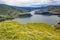 Wildflowers above Lucky Peak Reservoir in Southeast Boise, Idaho