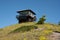 Wildflowers Below Huckleberry Lookout Tower