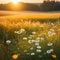 Wildflowers bloom in the tranquil autumn meadow generated by