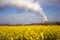 Wildflowers Bloom Under Nuclear Power Plant Exhaust Plume