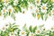 wildflowers border illustration on white background, watercolor style, chamomile, lavender, eucalyptus leaves, created with ai