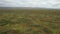 Wildflowers at Carrizo Plain National Monument and Soda lake