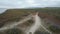 Wildflowers at Carrizo Plain National Monument and Soda lake