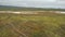 Wildflowers at Carrizo Plain National Monument and Soda lake