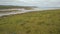 Wildflowers at Carrizo Plain National Monument and Soda lake