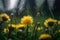 Wildflowers Dandelions Background Flowers Plant. Generative AI