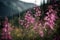 Wildflowers Fireweed Background Flowers Plant. Generative AI