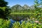 Wildflowers in the foreground at Picture Lake in Washington State with Mount Shuskan mountain in background