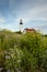 Wildflowers in Front of Maine Lighthouse