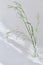 Wildflowers, grasses on a light background in blurry focus. mood aesthetics, minimalistic concept