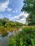 Wildflowers and Green on the Grand River