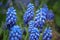 Wildflowers on green meadow for abstract natural background. Shallow depth of field. Selective focus.